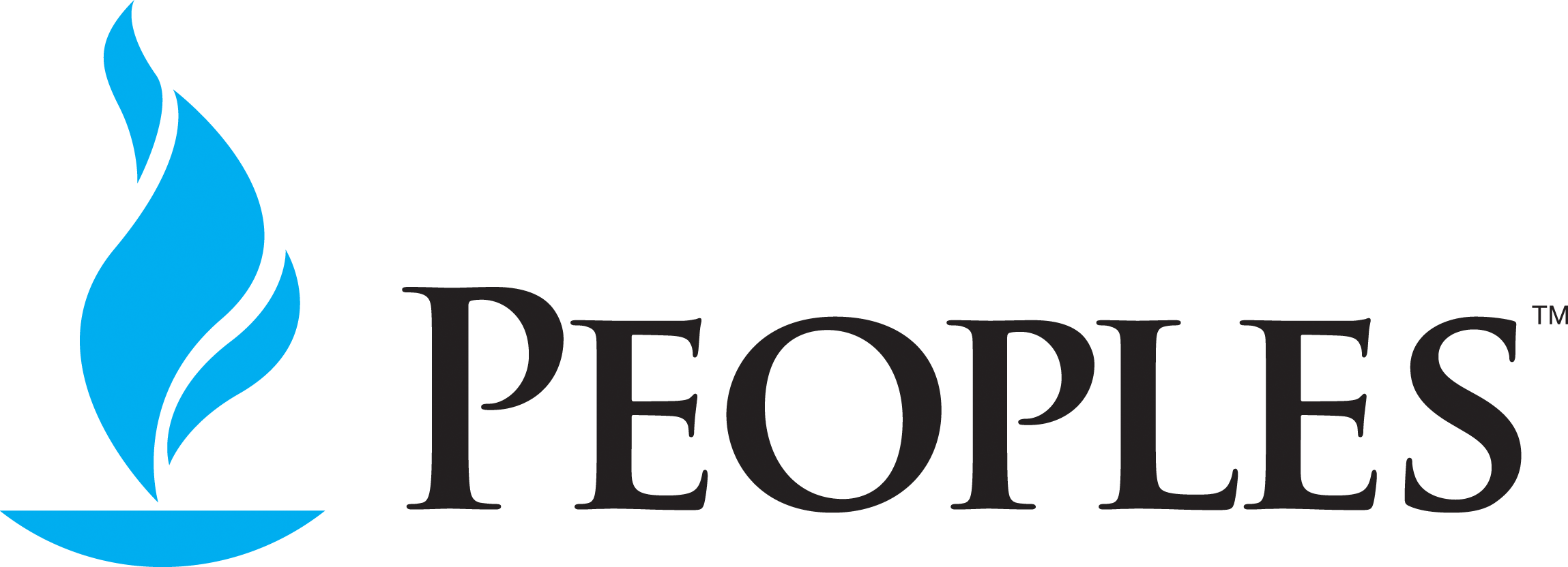 People&#39;s Natural Gas logo