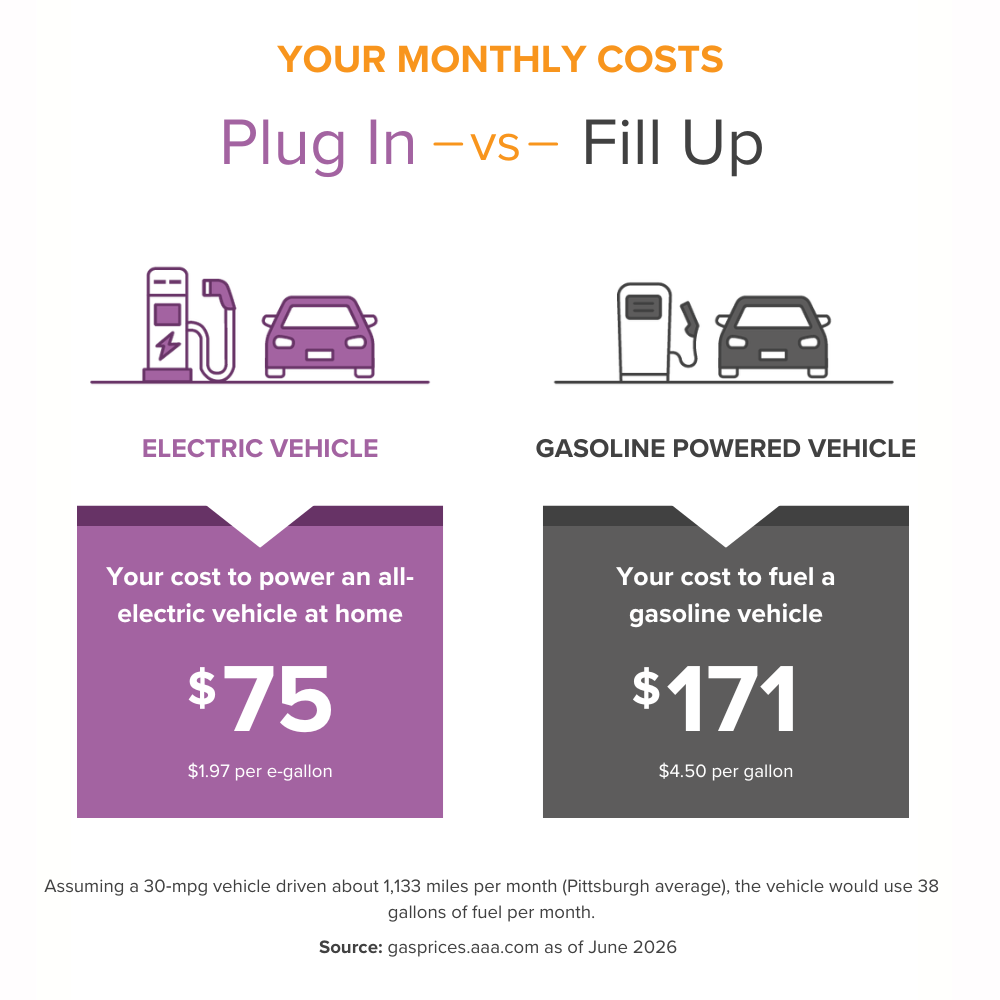 Types of EV infographic