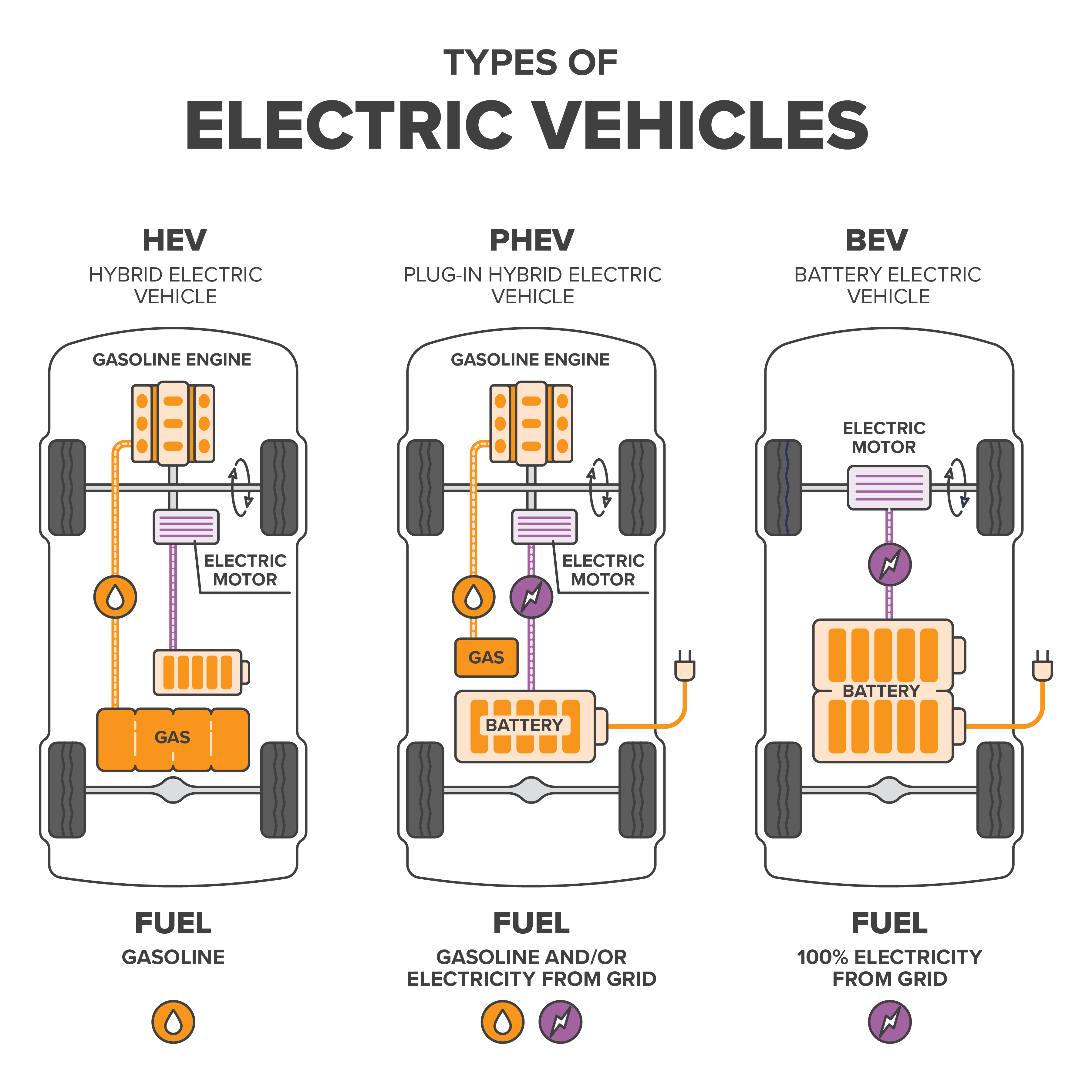Types of EV infographic